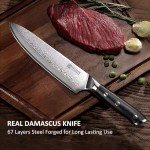 Damascus Chef Knife, 8-Inch VG10 Steel, Ergonomic Handle