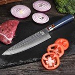 WeKit 8-Inch VG10 Damascus Chef Knife