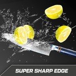 WeKit 8-Inch VG10 Damascus Chef Knife