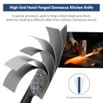 FINTISO 8-Inch Damascus Steel Chef Knife