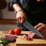 FINTISO 8-Inch Damascus Steel Chef Knife