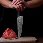 FINTISO 8-Inch Damascus Steel Chef Knife