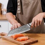 SHANGDAO 8-Inch Kiritsuke Knife - Damascus Steel