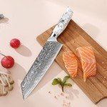 SHANGDAO 8-Inch Kiritsuke Knife - Damascus Steel