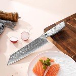 SHANGDAO 8-Inch Kiritsuke Knife - Damascus Steel