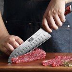 HOSHANHO 7-Inch Damascus Santoku Kitchen Knife