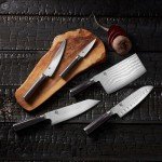 Shun Classic Boning & Fillet Knife: Effortlessly slice