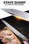 Dalstrong Shogun Series 10.5" Sujihiki Knife