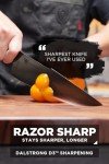 Dalstrong 8-Inch Chef Knife - Spartan Ghost Series