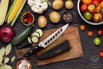 Dalstrong 8" Gladiator Chef Knife - Elite Precision