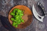 Dalstrong Shogun Series Ulu Knife - 6.5 Inch