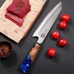 Dnifo 8-Inch Japanese Kiritsuke Chef Knife