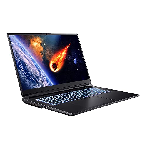 HoMei Core i9 Gaming Laptop 64GB RAM 1TB