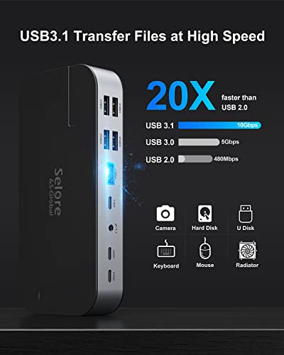 Dual Monitor Docking Station for Laptop with 6 USB