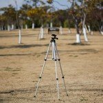 Amazon Basics 50-Inch Aluminum Smartphone Tripod
