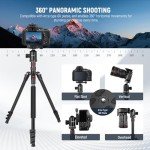 NEEWER 77" Lightweight Tripod Monopod for Cameras