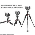 Neewer 20" Mini Tripod with 360° Ball Head