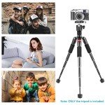 Neewer 20" Mini Tripod with 360° Ball Head