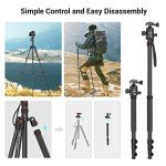 Smallrig 72" Lightweight Aluminum Camera Tripod
