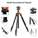 K&F Concept 79" Compact Tripod and Monopod