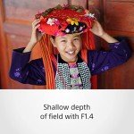 Sony FE 85mm f/1.4 G Master Lens