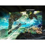 Samsung 55" QN85C 4K Neo QLED Smart TV