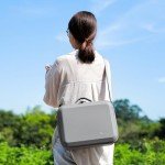 SKYREAT Mini 4 Pro Portable Carrying Case
