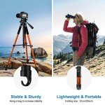 Lightweight 65" Tripod for DSLR and Smartphone