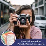 DSLR Cheat Sheet for Canon, Nikon, Sony Cameras