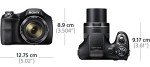 Sony Cyber-Shot DSC-H300 Camera with 35x Zoom