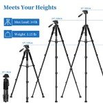 JOILCAN 74" Lightweight Tripod for DSLR and Phones