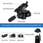 JOILCAN 74" Lightweight Tripod for DSLR and Phones