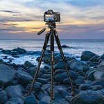 JOILCAN 74" Lightweight Tripod for DSLR and Phones