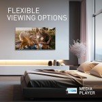 Panasonic 40" Full HD Smart TV with Voice Control