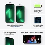 Apple iPhone 13 Pro Max 1TB - Alpine Green