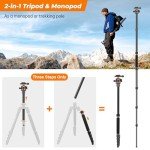 Victiv 78.7" Compact Tripod for DSLR Cameras