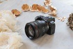 Canon RF 85mm f/1.2L USM Lens