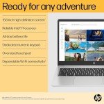 HP Chromebook 15.6" with Intel Celeron Processor