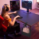Ginzeca 3-in-1 Gaming Headphone and Controller Stand