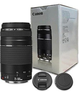 Canon EF 75-300mm Telephoto Zoom Lens
