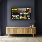 Toshiba 65" 4K HDR TV with Dolby Vision & Alexa