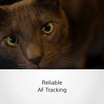 Sony FE 35mm F1.8 Wide-Angle Prime Lens