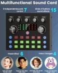 Podcast Equipment Bundle: Audio Interface & Microphone