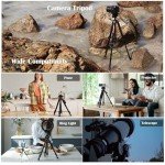 KINGJOY 75" Lightweight Tripod with Wireless Remote
