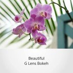 Sony E PZ 18-105mm f/4 G Power Zoom Lens