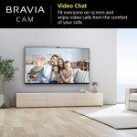 Sony BRAVIA CAM: 1080p Webcam with Microphone