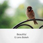 Sony E 70-350mm f/4.5-6.3 G OSS Lens