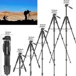 NEEWER 2-in-1 Portable Tripod and Monopod