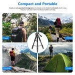 NEEWER 2-in-1 Portable Tripod and Monopod