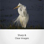 Sony E 70-350mm f/4.5-6.3 G OSS Lens